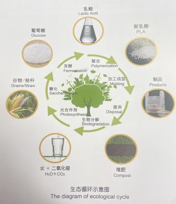 細節拉滿！冬奧餐盤竟是酸奶“親戚”，揭秘“可降解”背后的生態環境材料黑科技