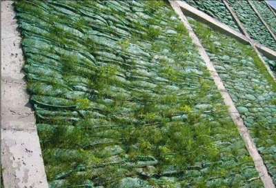 植草袋 高效生態(tài)護(hù)坡材料的使用、效果及與植生毯對(duì)比